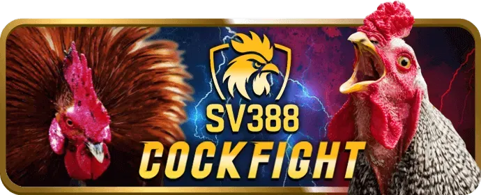 Cookie hiệu suất 8kbet vip